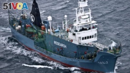 FILE - A Japanese whaling ship sails in the Southern Ocean off Antarctica. Japan has withdrawn from the International Whaling Commission, but says it will no longer hunt whales near the Antarctic.