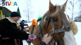 In the village of Vosava, Belarus, men prepare a horse and a sleigh to celebrate the New Year on January 13 according to the Julian calendar, 2017. 
