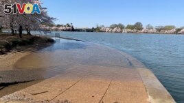 FILE - Part of the sidewalk near the Jefferson Memorial is covered in water during high tide at the Tidal Basin in Washington, DC on April 3, 2019. (AP Photo/Ashraf Khalil, File)