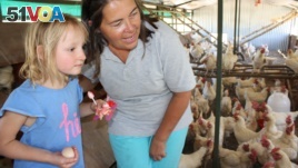 Farmer Ruth Mylroie watches a chicken laying an egg with a young visitor during a school tour of New Harmony Farm. This farm is known for its humane treatment of its chickens.