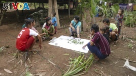 In this May 2020 photo provided by the Southern Youth Development Organization, local community members collect data and document herbal medicinal plants and vegetables in the Lenya area of the Tanintharyi region in southern Myanmar.