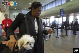School Helps Dogs with Fear of Flying