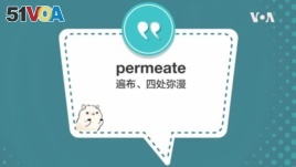 学个词 - permeate