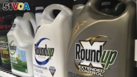 FILE - Containers of Roundup are displayed on a store shelf in San Francisco, Feb. 24, 2019. (AP Photo/Haven Daley, File)