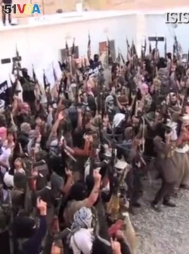 Experts: Rise of Islamic State Significant Development in Jihadism