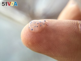 Microbeads seen on a finger. They are so small they are not caught by waste water treatment plants and end up in the ocean.