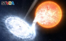 An artist's impression of a black hole, similar to V404 Cyg, taking material from an orbiting companion star.