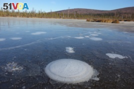 Methane bubbles up from the thawed permafrost at the bottom of the thermokarst lake through the ice at its surface. (Katey Walter Anthony/ University of Alaska Fairbanks)