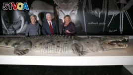 FILE - U.S. Vice President Mike Pence, center, observes a life-size replica of an Australian saltwater crocodile during his visit to the Australian Museum with Australian Foreign Minister Julie Bishop, left, and the museum's Executive Director Kim McKay i