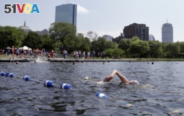 People swim in the Charles River during the 