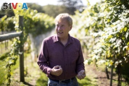 In this Thursday, Sept. 19, 2019, photo, Dean Scott speaks during an interview with The Associated Press at his vineyard in Kutztown, Pa. The spotted lanternfly has emerged as a serious pest.