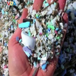 Plastic trash in oceans enters the marine food chain, hurting or killing ocean life.