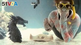Kinsley Boyette, assistant director of the Aquarium and Shark Lab by Team ECCO, poses in this undated photo next to Charlotte, a round stingray, in the American town of Hendersonville, North Carolina. (Aquarium and Shark Lab by Team ECCO via AP)