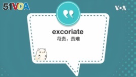 学个词 - excoriate