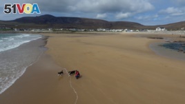 A woman walks her dogs along Dooagh beach after a storm returned sand to it, 30 years after another storm had stripped all the sand off the beach, on Achill island, County Mayo, Ireland, May 5, 2017.