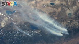 Rising Temperatures Could Mean More Wildfires