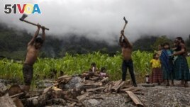 Eduardo Cal Chen, 23, left, and his 20-year-old brother Edgar, chop wood in the makeshift settlement Nuevo Queja, Guatemala, Sunday, July 11, 2021. (AP Photo/Rodrigo Abd)