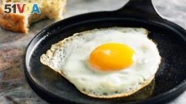 a fried egg