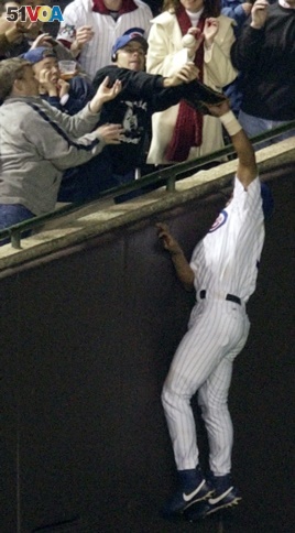 Chicago Cubs left fielder Moises Alou reaches into the stands unsuccessfully for a foul ball against the Florida Marlins in the eighth inning during Game 6 of the National League championship series