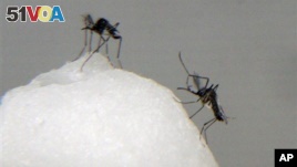 Study: Diseases Mistaken for Malaria