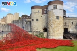In 2014, artists created a memorial with poppies at the Tower of London to mark the anniversary of World War I.