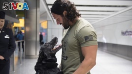 Hurricane the US Secret Service dog is to be honored with a Medal by the UK's leading veterinary charity, PDSA, for his outstanding devotion to duty while protecting the President and First Family from an intruder.