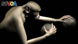 Monkeys Use Their Minds to Move Virtual Arms