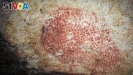 This photo provided by researcher Carole Fritz in February 2021 a prehistoric wall painting depicting a bison, in a French cave discovered in 1931. Using modern microscopy techniques to examine how a conch shell found at the site was modified and hiring a