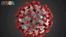 FILE PHOTO: The ultrastructural morphology exhibited by the 2019 Novel Coronavirus (2019-nCoV), is seen in an illustration released by the Centers for Disease Control and Prevention (CDC) in Atlanta, Georgia, U.S. January 29, 2020. 