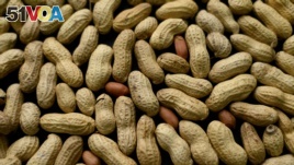 FILE - Peanuts are on display in New York, 