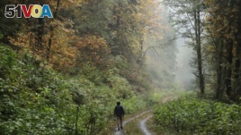 In this Oct. 23, 2018 photo, Dave Wiens, a biologist who works for the U.S. Geological Survey, walks through a forest near Corvallis, Oregon.