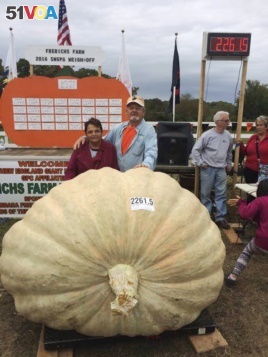 Richard and Catherine Wallace stand with a 1,026 kg. pumpkin that Richard grew to set the North American giant pumpkin record at the Frerichs Farm Pumpkin Weigh Off in Warren, R.I.