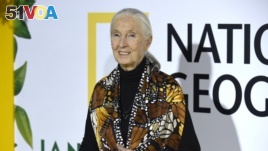 Jane Goodall arrives at the Los Angeles premiere of 