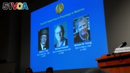 The names of Jeffrey C. Hall, Michael Rosbash and Michael W. Young are displayed during a news conference to announce the winner of the Nobel Prize in Physiology or Medicine 2017, in Stockholm, Sweden, Oct. 2, 2017. 