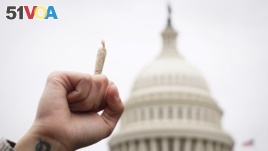 A pro-cannabis activist holds up a marijuana cigarette during a rally on Capitol Hill in Washington, DC.
