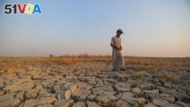 FILE - A fisherman walks across a dry patch of land in the marshes in Dhi Qar province, Iraq, Sept. 2, 2022. (AP Photo/Anmar Khalil, File)