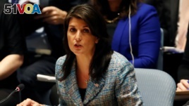 United States Ambassador to the United Nations Nikki Haley addresses the U.N. Security Council on Syria. (File)