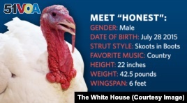 One of the 2015 turkeys being pardoned by President Obama.