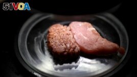 The physical attributes of 3D printed plant-based vegan meat produced by Israeli start-up Redefine Meat are compared with traditional meat in a laboratory in Rehovot, Israel October 6, 2022. (REUTERS/Nir Elias)