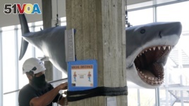 A fiberglass replica of Bruce, the shark from Steven Spielberg's 1975 film 
