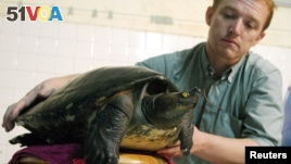 FILE - Wildlife Conservation Society Field Veterinarian Martin Gilbert from Britain holds an extremely rare Cambodian 'royal' turtle at his house in Phnom Penh on July 21, 2005.