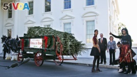 Americans Love Christmas Trees