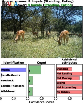 Deep learning can successfully identify, count, and describe animals in camera-trap images. (PNAS.org)