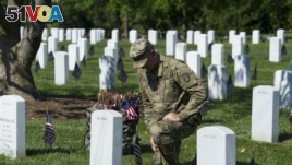 Memorial Day Arlington