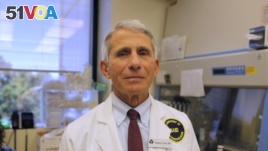 Dr. Anthony Fauci, head of the National Institute of Allergy and Infectious Diseases