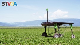 In this file photo, ecoRobotix demonstrates its 'smart farm' technology, which uses artificial intelligence to identify weeds and kill them. (ecoRobotix) 