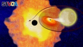 Twelve black hole low-mass binaries orbiting Sgr A* at the center of the Milky Way galaxy, appear in this illustration provided by Columbia University, April 5, 2018.