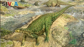 A life reconstruction of the Jurassic Period dinosaur Scelidosaurus, which lived roughly 193 million years ago, is seen in this artist's rendition released by the University of Cambridge August 27, 2020. (John Sibbick/Handout via REUTERS)