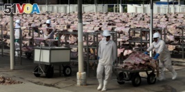FILE: Workers carry salted meat at a plant of JBS S.A, the world's largest beef producer, in Santana de Parnaiba