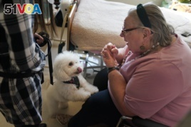 Eileen Nagle, 79, talks with Zeus, a bichon frise, as he visits her room at The Hebrew Home at Riverdale in New York, Wednesday, Dec. 9, 2020. (AP Photo/Seth Wenig)